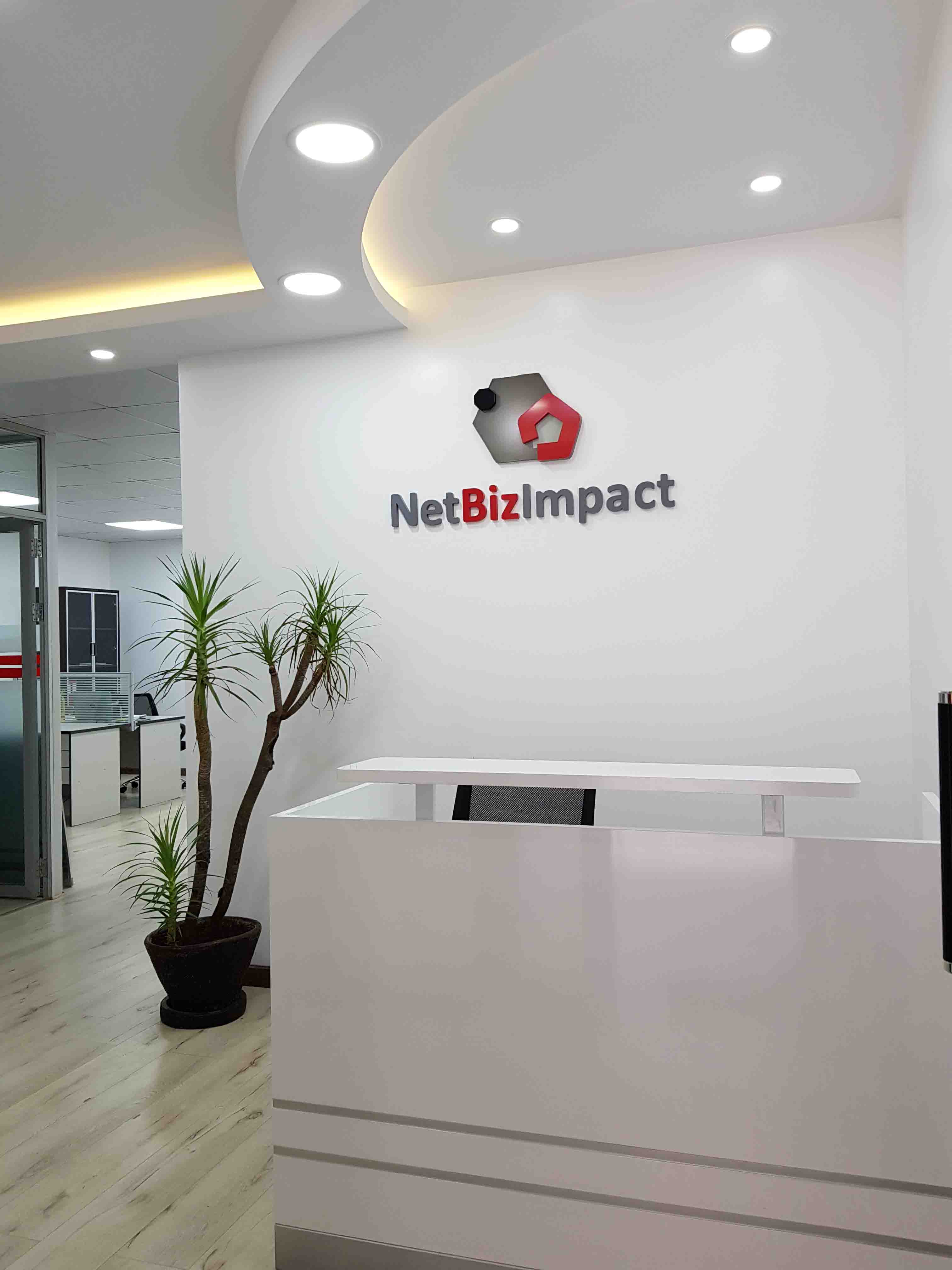 NetBizImpact