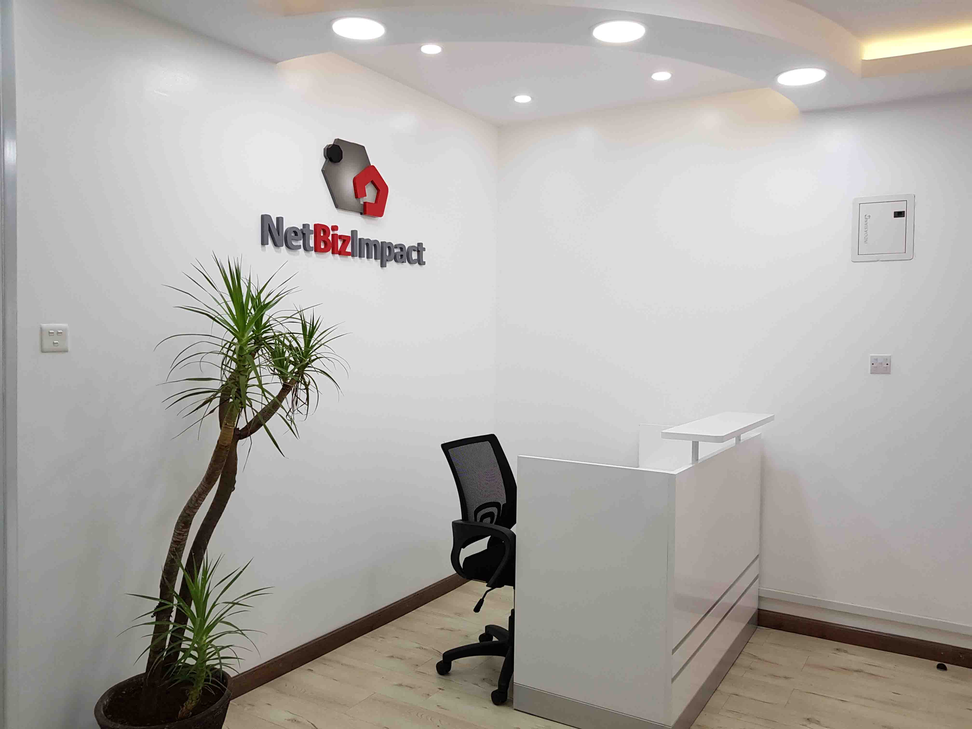 NetBizImpact